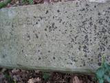 image of grave number 443804
